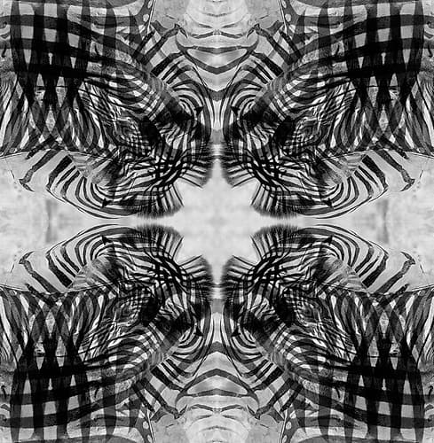 Black and white kaleidoscope abstract of a zebra Art Print by Jaynes Gallery